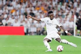 完全能够为 完全能够为